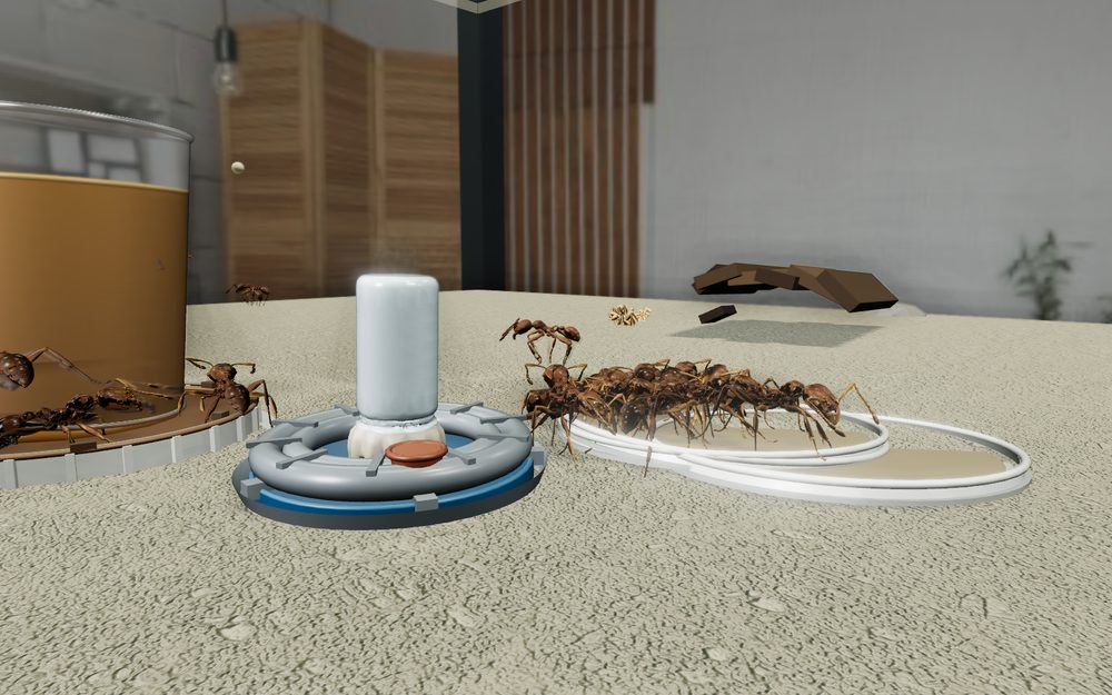Vivarium: ground level inside a keeper tank, big-headed ants crowding the rim of a water dish beside a syrup feeder, more of them on the cup behind, and a wooden screen in the room beyond the glass.